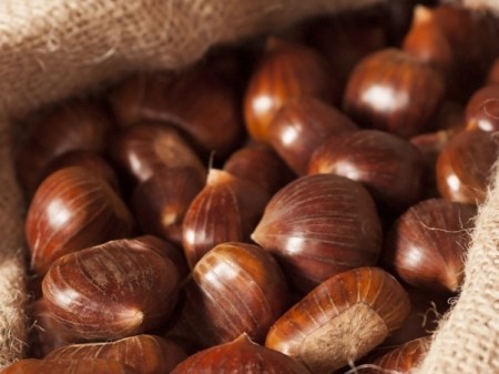 Italian chestnuts
